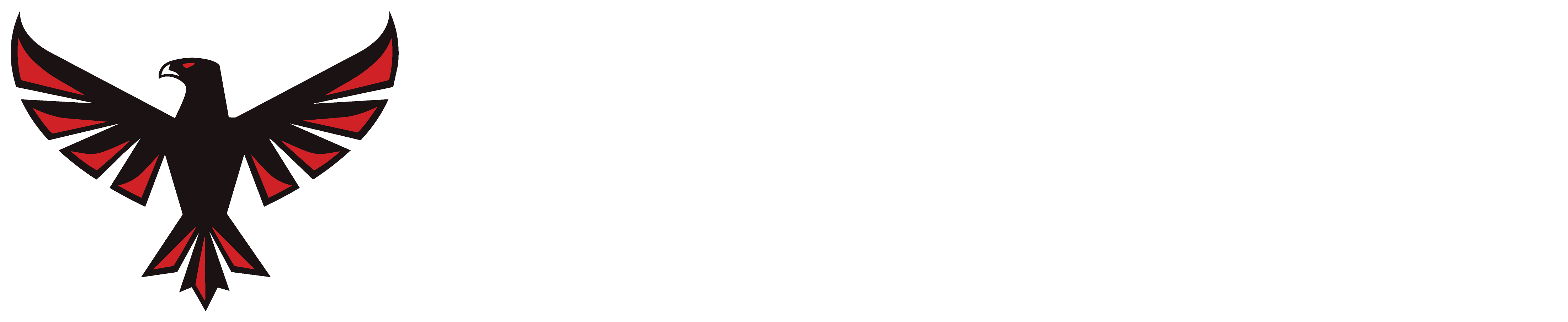 Full-colour Falcons Badminton Club logo with white lettering on a red background