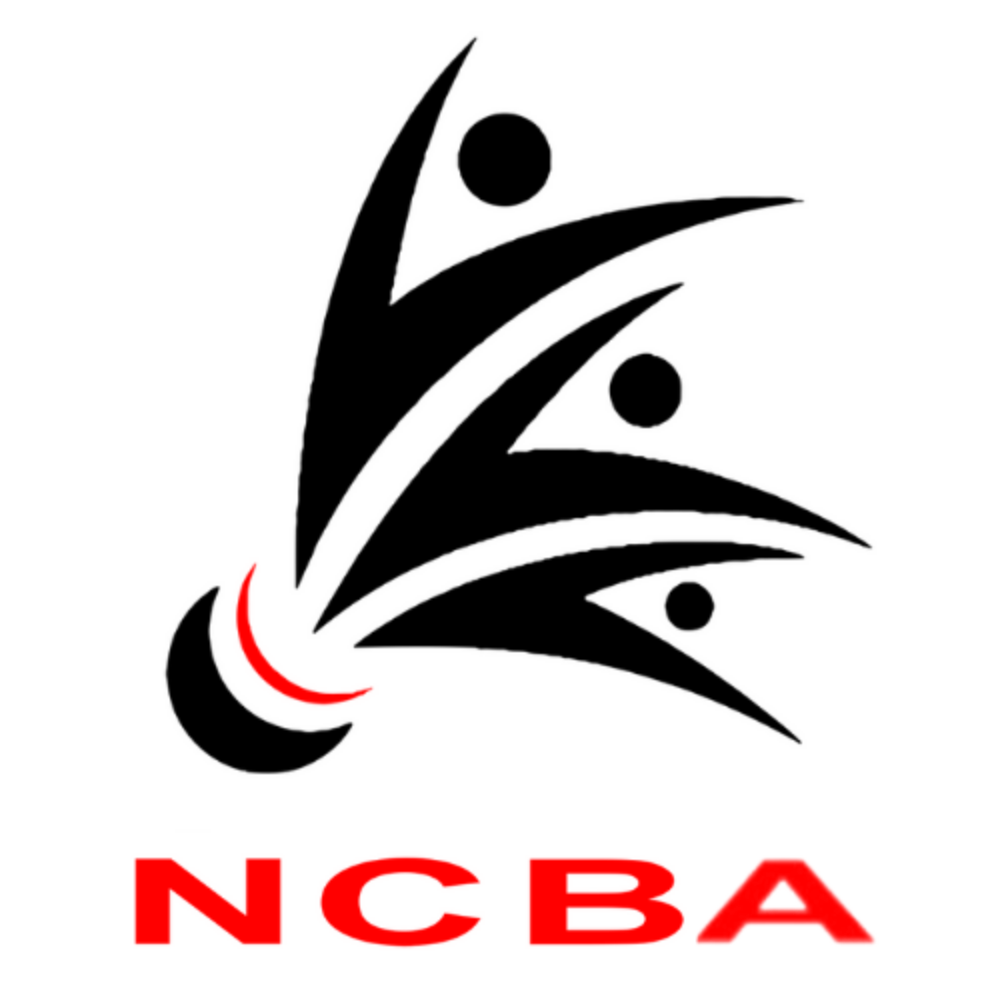 Northants Badminton official identity