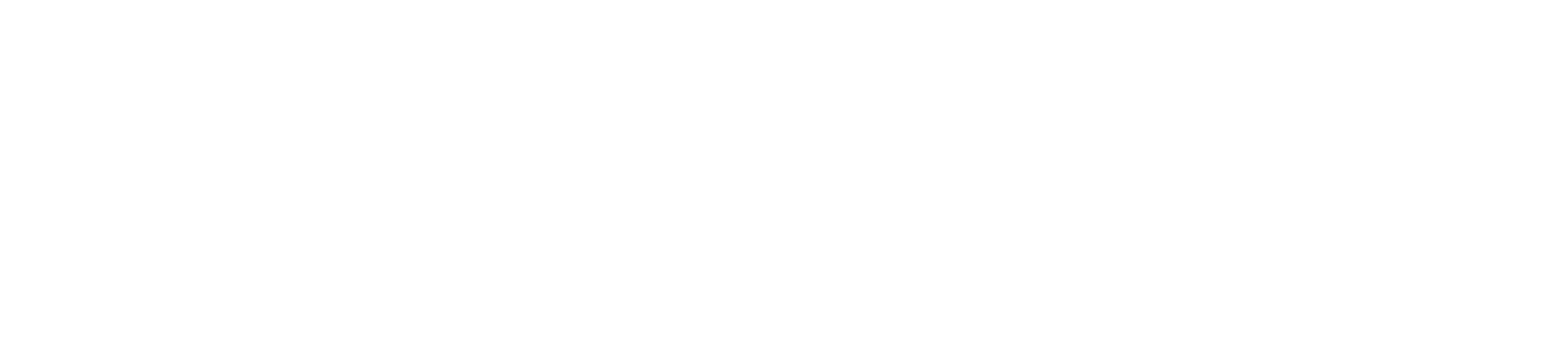 Team front logo